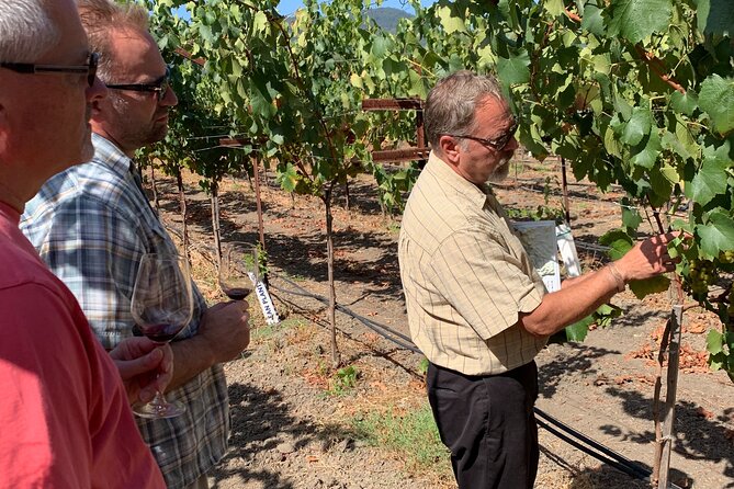 Private Wine Tour in Napa Valley SUV up to 6 Guests - Common Questions