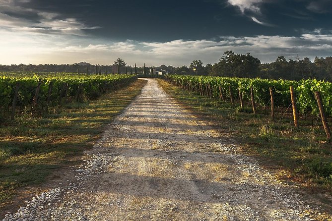 Private Winery Tour of Niagara-on-the-Lake - The Sum Up