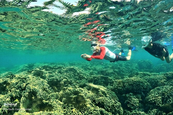 PROFESSIONAL SNORKELING to Explore Hidden Coral Spots (MAX 9 PAX) - Weather and Refunds
