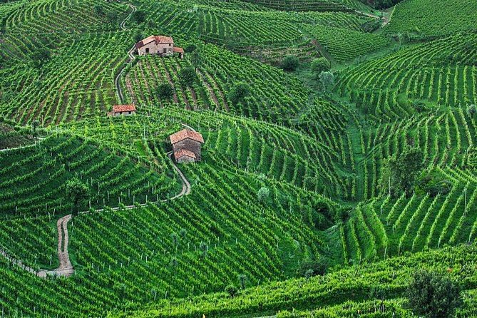 Prosecco Wine Tour. Full Day From Venice - Common Questions