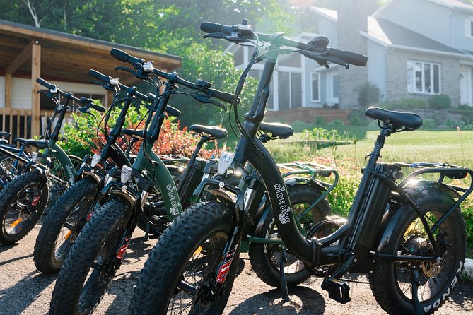 Quebec City :Ebikes Rental ,Wine,Chocolate,Berries and Landscape - The Sum Up