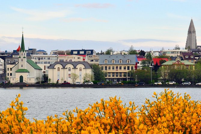 Reykjavik Walking Tour - Walk With a Viking - The Sum Up
