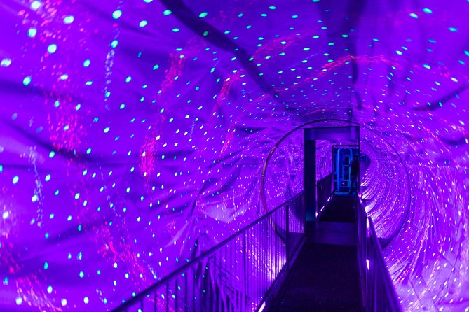 Ripleys Believe It or Not Amsterdam & 1-Hour Canal Cruise - Overview and Benefits