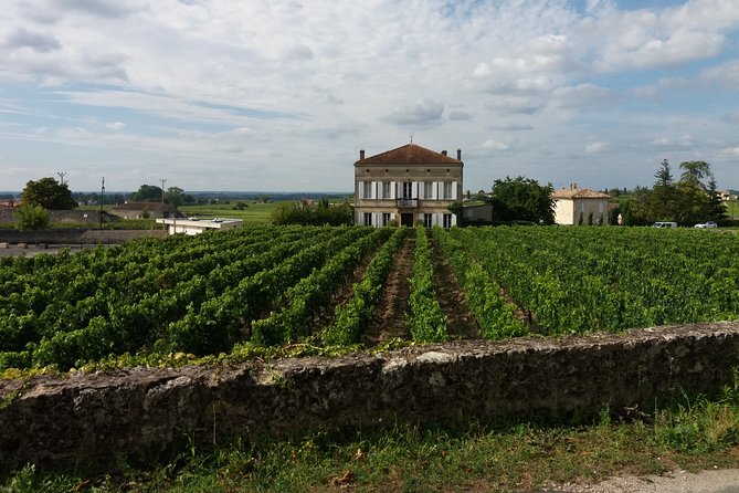 Saint Emilion Wine Tour Half Day - The Sum Up