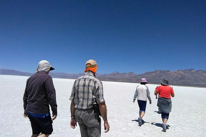 Salinas Salt Lagoon Private Tour - Day Trip From Arequipa - Hiking Experience
