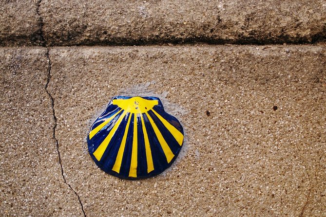 Santiago De Compostela - Historic Walking Tour - Meeting Point: Cathedral of Santiago De Compostela