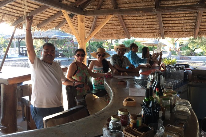 Santorini Private Sightseeing Tour With Local Guide - Tour Recommendations and Praises