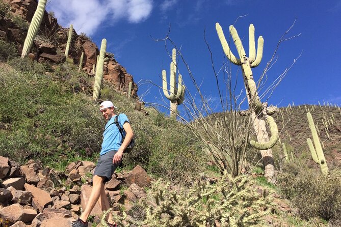 Scottsdale Desert Classic Hiking Adventure - Learn About the Sonoran Desert