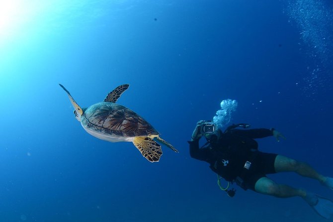Scuba Diving From Bodrum - Common Questions