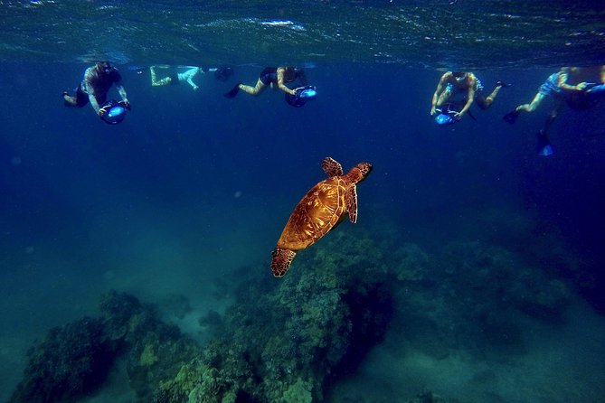 Sea Scooter Snorkeling Tour - Polo Beach - Common Questions