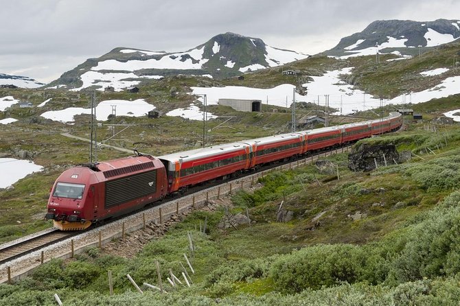 Self-Guided Day Tour - Premium Nærøyfjord Cruise & Flåm Railway - Common Questions