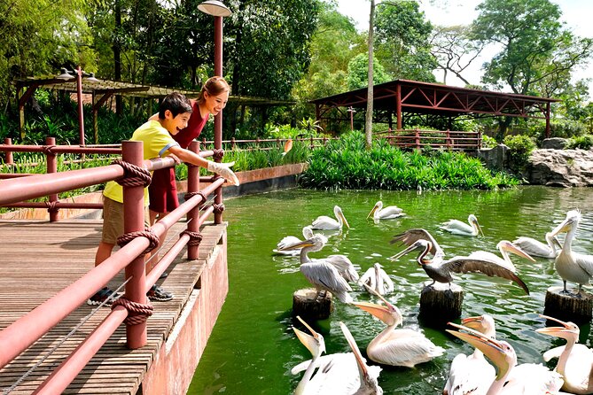 Singapore Bird Paradise & Zoo Full Day (Ticket & Transfer ) - The Sum Up