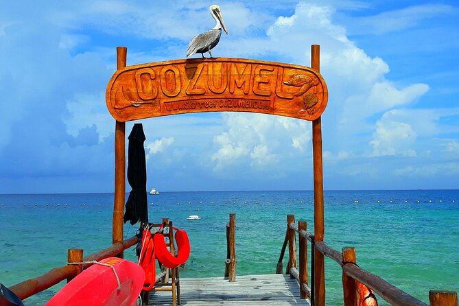 SkyReef Cozumel Snorkel & Tequila Tasting - The Sum Up