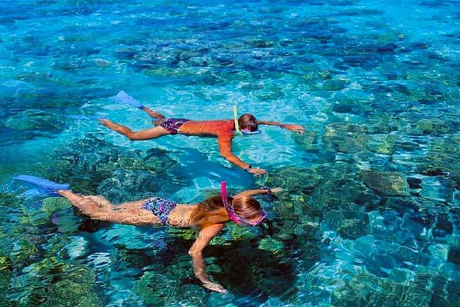 Small-Group Afternoon Snorkeling Tour of The Aquarium, Tahiti - Tour Highlights and Itinerary