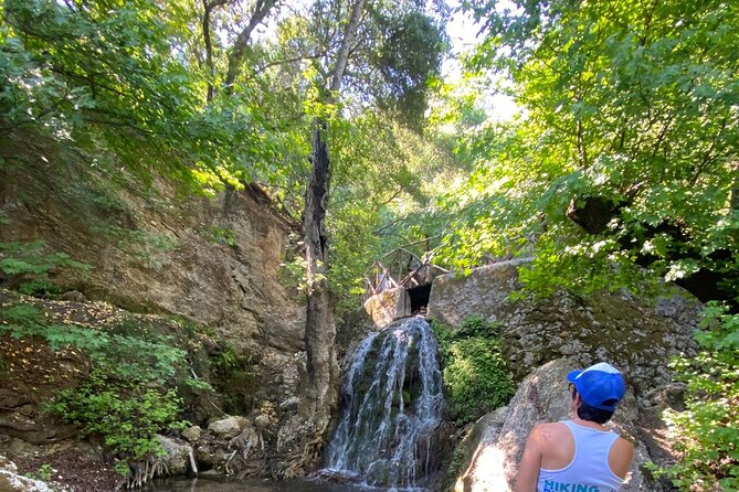 Small Group Hiking to the Valley of the Butterflies of Rhodes - What to Expect on the Hike