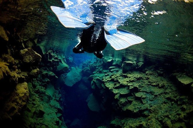 Small-Group Snorkeling in Silfra With Transfer & Free Photos Included - Common Questions