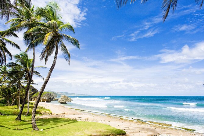 Small-Group Story of Rum Tour in Its Birthplace of Barbados - Traveler Photos and Reviews