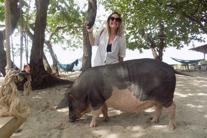 Snorkeling & Kayaking Trip at Koh Madsum and Koh Tan By Speedboat From Koh Samui - Questions and Assistance