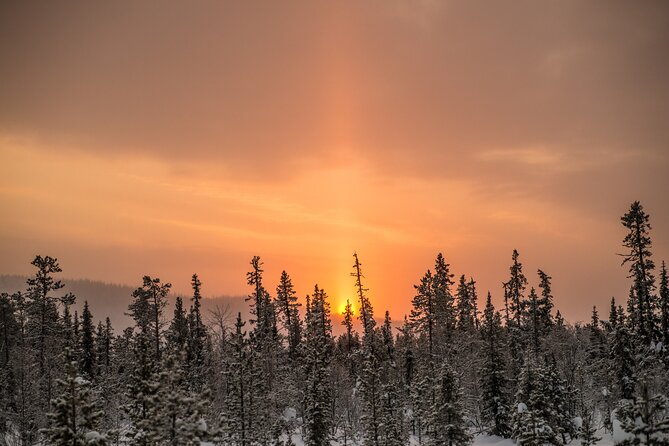 Snowshoe Winter Hike From Stockholm - Cancellation Policy