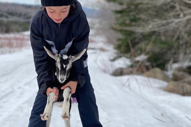 Snowshoeing With Mountain Goats Private Activity - Scenic Trek and Delicious Dinner