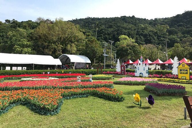 Taipei Cherry Blossom Day Tour - Common Questions