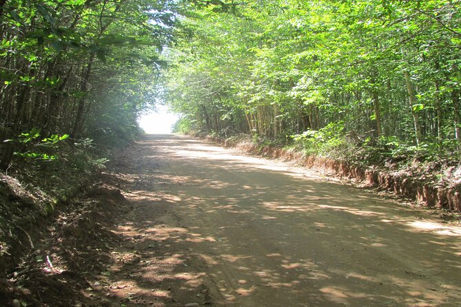 The Ultimate Anne of Green Gables Private Tour - Reviews and Ratings