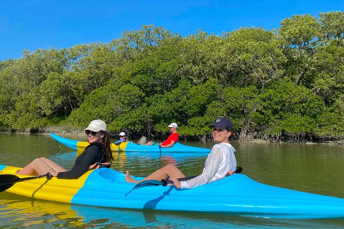 Tour the Mangroves in Kayak by Isla Holbox - The Sum Up