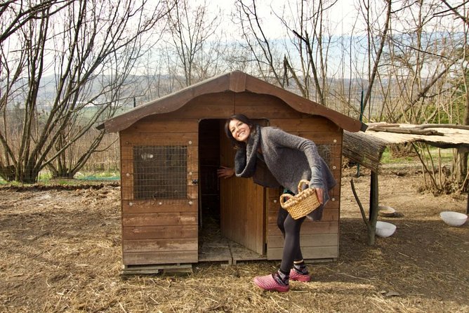 Traditional Italian Cooking Class on a Sustainable Farm Using Foraged Wild Herbs - Step-by-Step Cooking Techniques and Recipes