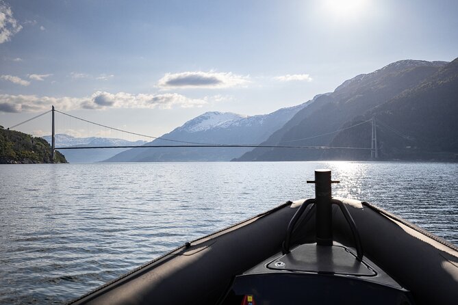 Ulvik RIB Adventure Tour to Hardangerfjord & Osafjord - The Sum Up