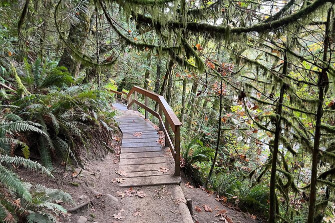 Vancouver Rainforest Hike With Waterfalls, Suspension Bridge, Old Growth Forest - Common Questions