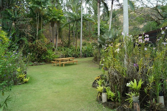 Vuda Lookout, Vesisei Village, Market, Temple & Garden of Sleeping Giant Tour - Garden of the Sleeping Giant