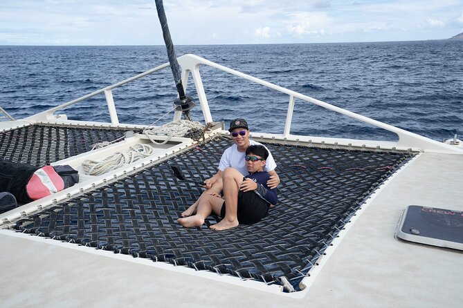 West Oahu Hawaiian Green Sea Turtle, Dolphin Snorkel Sail W Lunch - The Sum Up