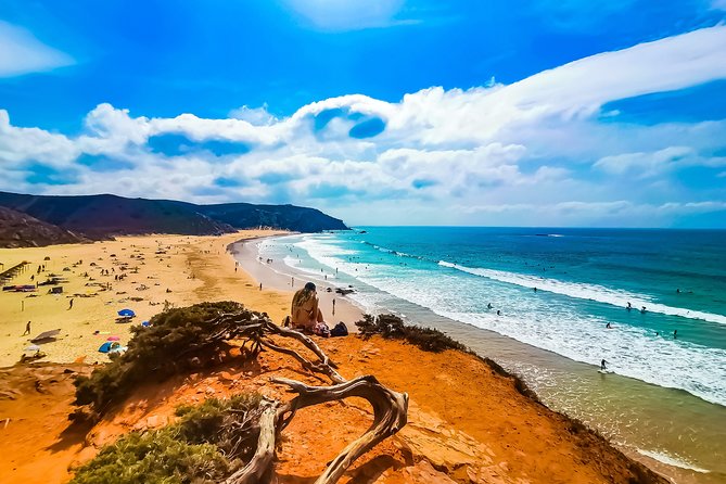 Wild and Wonderful West Coast Full Day Tour - Highlights of the Tour