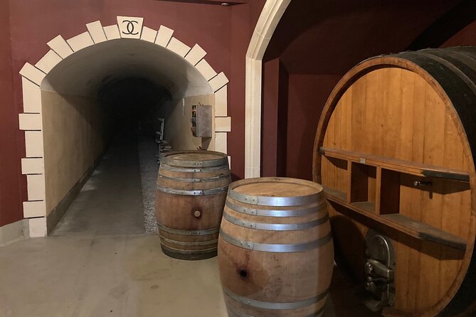 Wine Tasting, Cannes, Coco Chanel, Perfume Factory & Grasse - Indulging in Wine Delights in Cannes