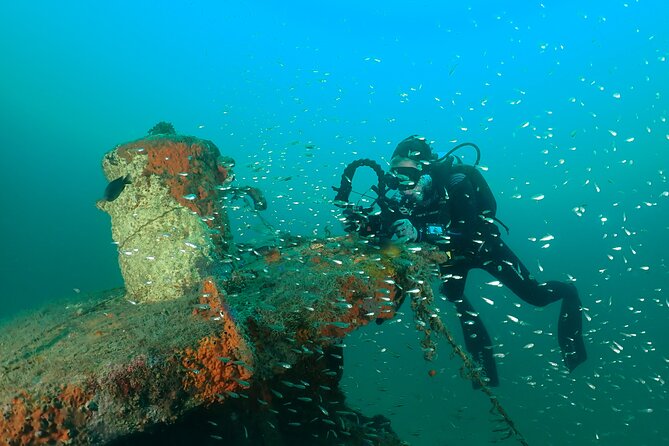Wreck and Bridge Span Dive Charter for Certified Divers - Common Questions