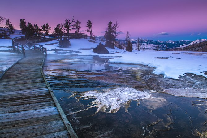 Yellowstone Winter Wildlife 4-Day Tour  - Gardiner - Common Questions