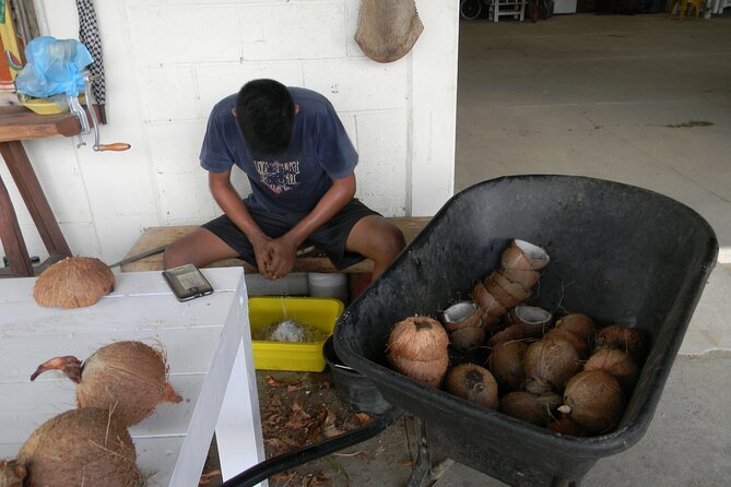 Zihuatanejo Private Countryside Tour With Lunch - Common Questions