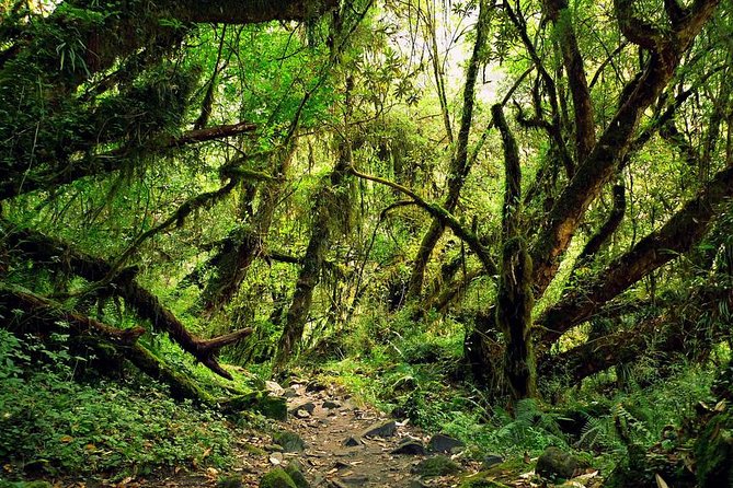 9 Days Kids Friendly Lower Annapurna Royal Trek - Best Time to Visit for a Kids-Friendly Experience