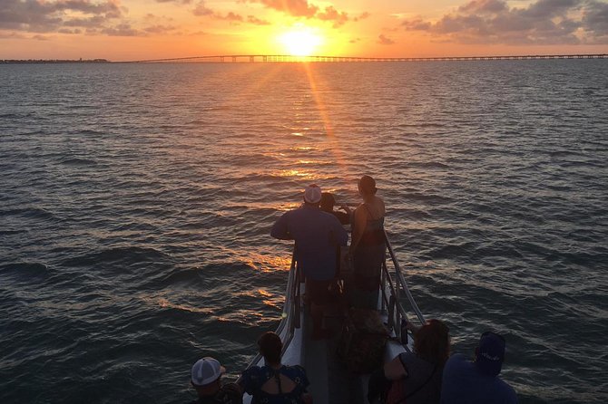 90-Minute Dolphin Watch Tour of South Padre Island