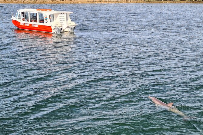 90-Minute Maritime and Dolphins Cruise in Port Adelaide - Overview of the Cruise