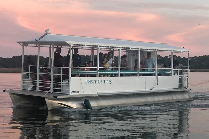 90 Minute Tour to See Dolphins in Hilton Head Island