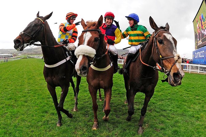 A Day At The Races & the Horse Lovers Tour - Pricing and Value