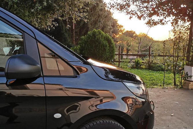 A Full Day in Orvieto From Rome (Free Tour)... - Additional Support