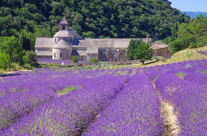 A Full Day Into Luberon Villages and Fontaine-De-Vaucluse - Good To Know