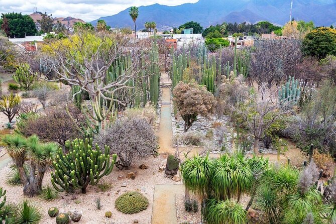 A Piece of Oaxaca: Guided Tour With Crafts Elaboration
