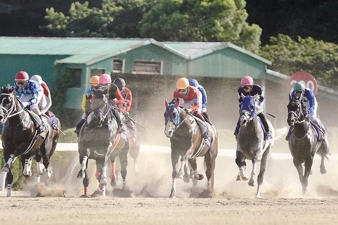A Tour to Enjoy Japanese Official Gambling (Horse Racing, Bicycle Racing, Pachinko)
