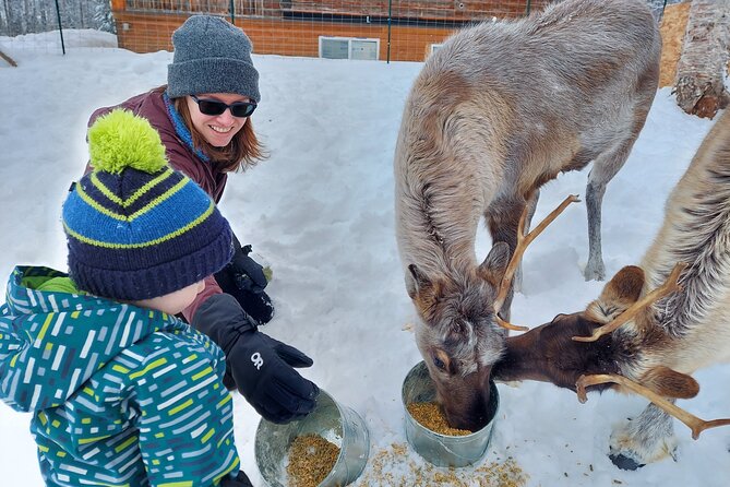 A Walk in the Woods…with REINDEER!