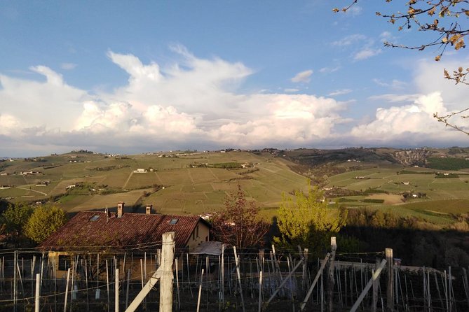 Abellonio Cascina Piccaluga - Visit to the Vineyards, to the Wine Tasting Cellar