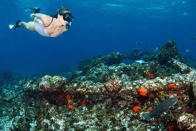 Abrolhos Island Scenic Flight And Snorkel Adventure From Perth