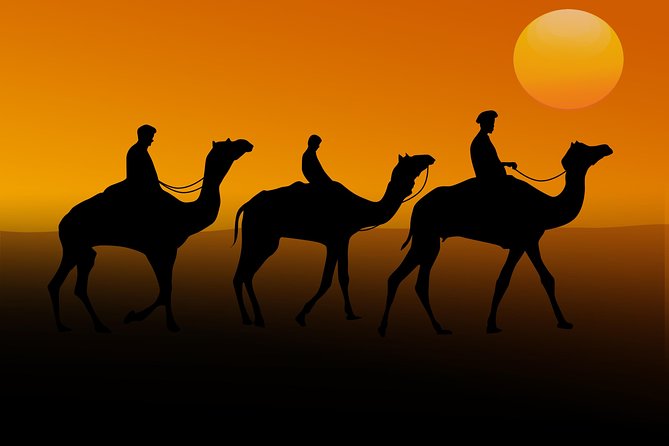 Abu Dhabi 6-Hour Desert Safari With BBQ Dinner - Good To Know